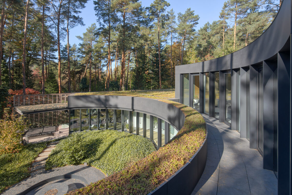 House with a glade / 77studio architektury