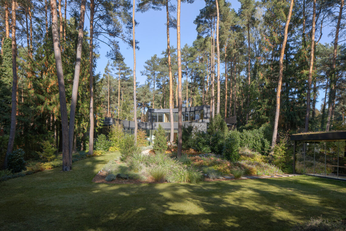House with a glade / 77studio architektury