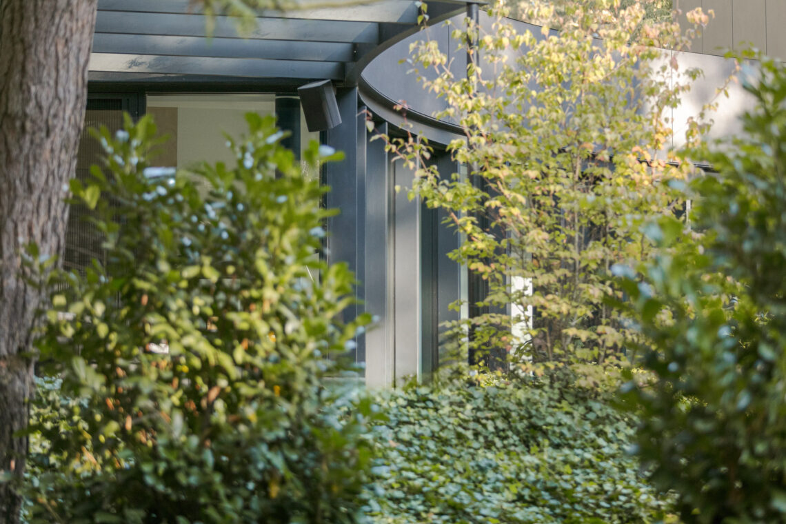 House with a glade / 77studio architektury