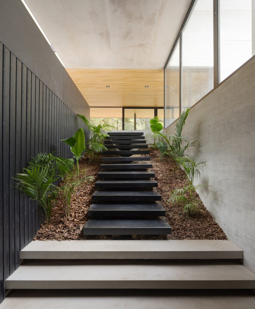 House h7 / taranti arq studio