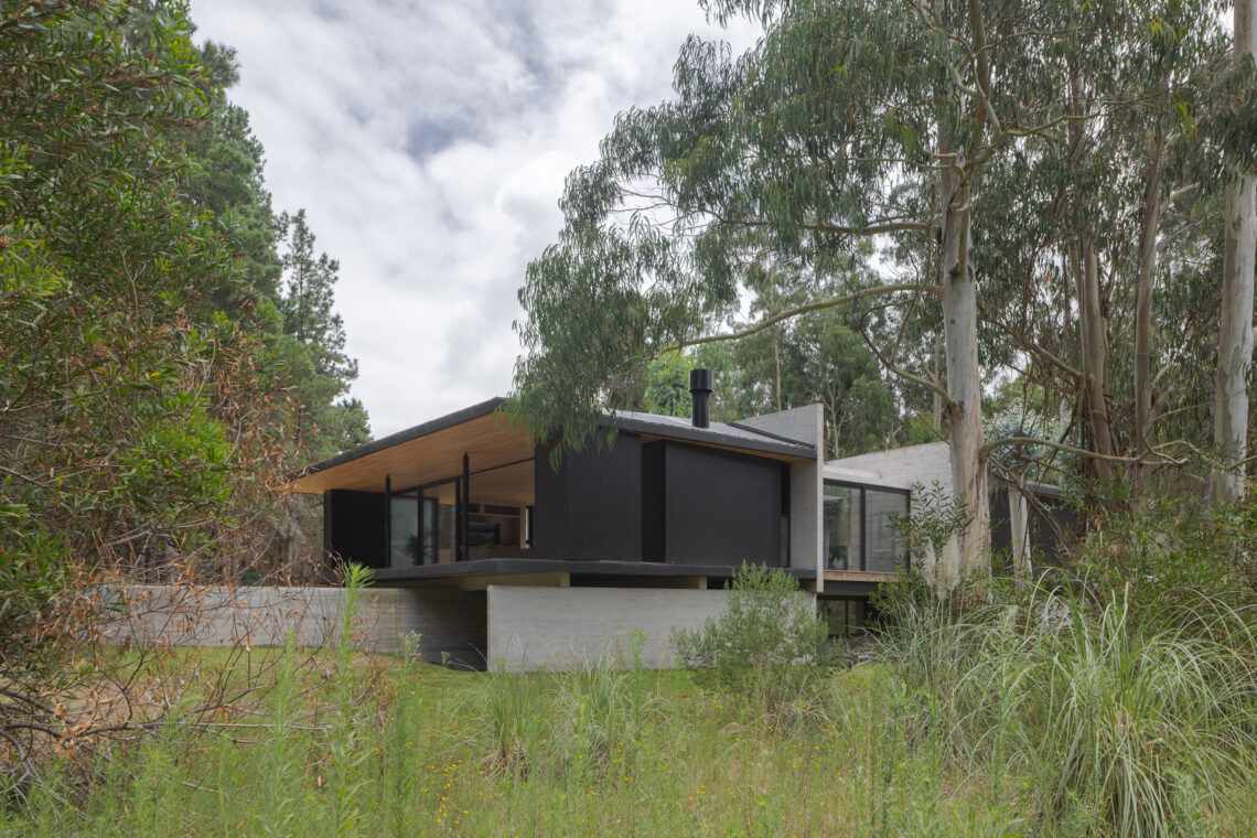 House h7 / taranti arq studio