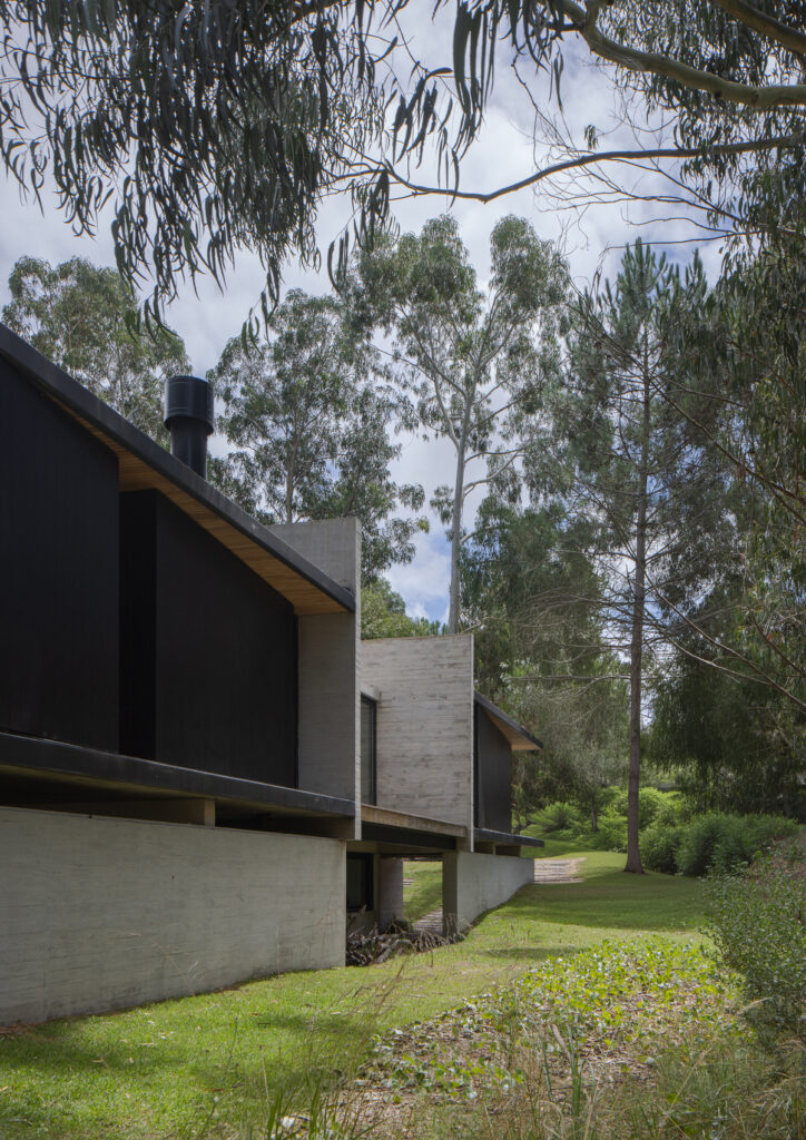 House h7 / taranti arq studio
