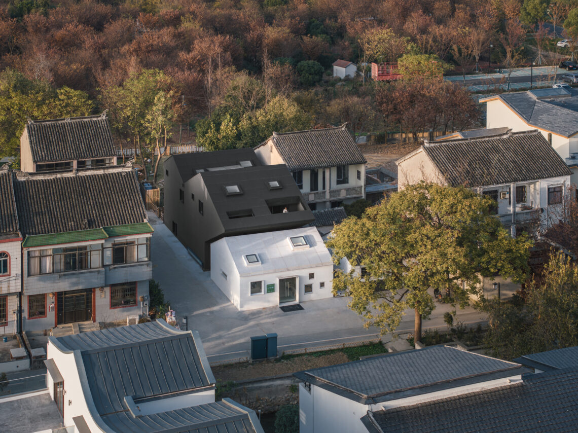 Heart fields / wutopia lab