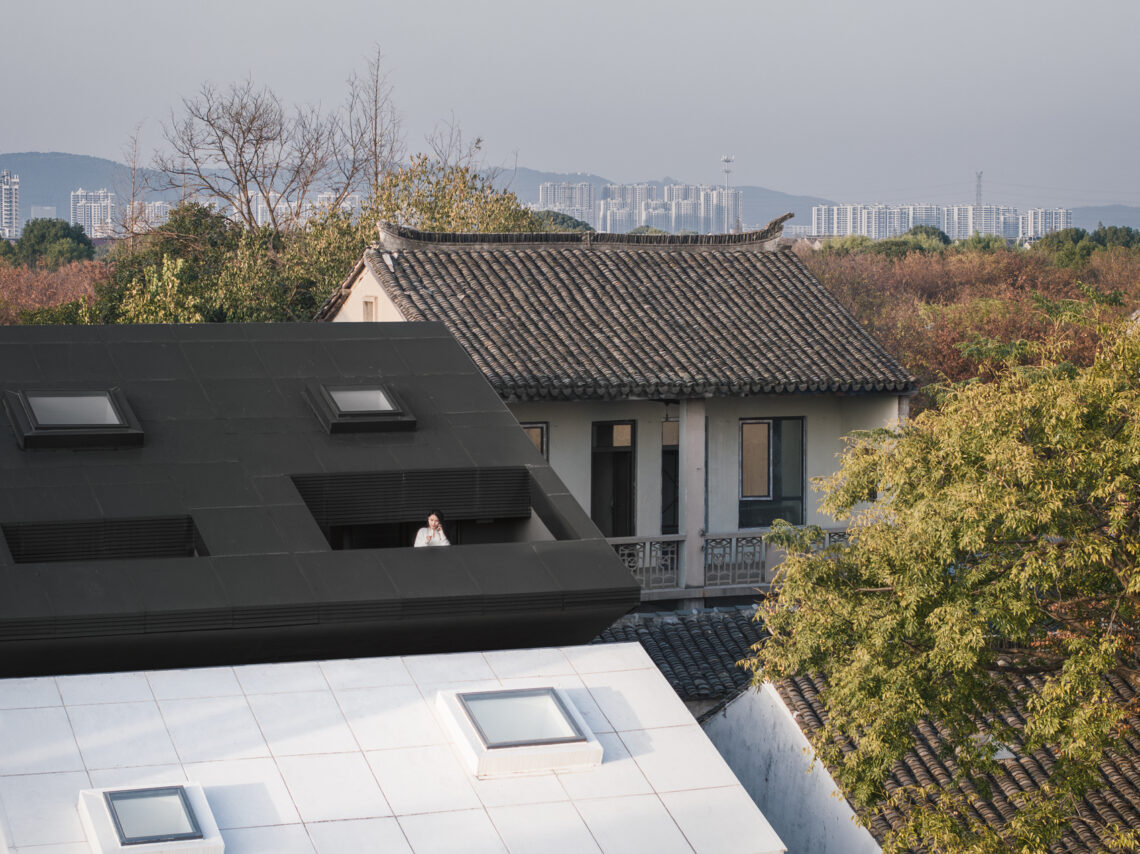 Heart fields / wutopia lab
