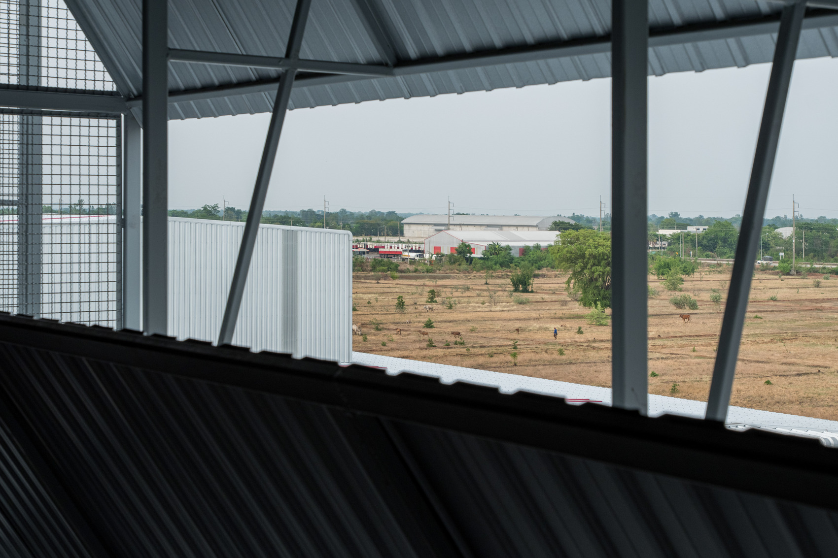 17 Lpp rice bran oil refinery / phtaa living design