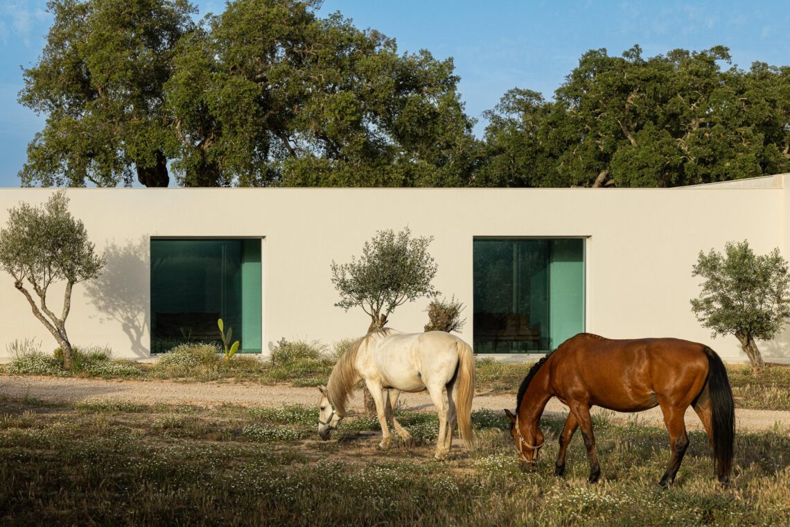 Casa M Ariane Melides / Sabrab Architecture 18 Casa m ariane / sabrab architecture
