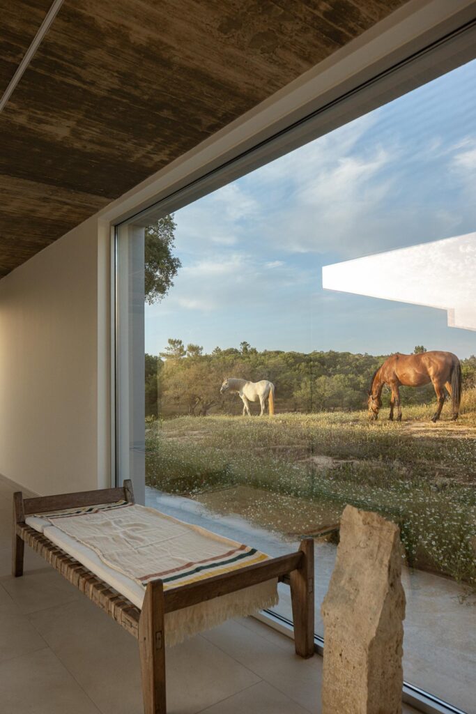 Casa M Ariane Melides / Sabrab Architecture 16 Casa m ariane / sabrab architecture
