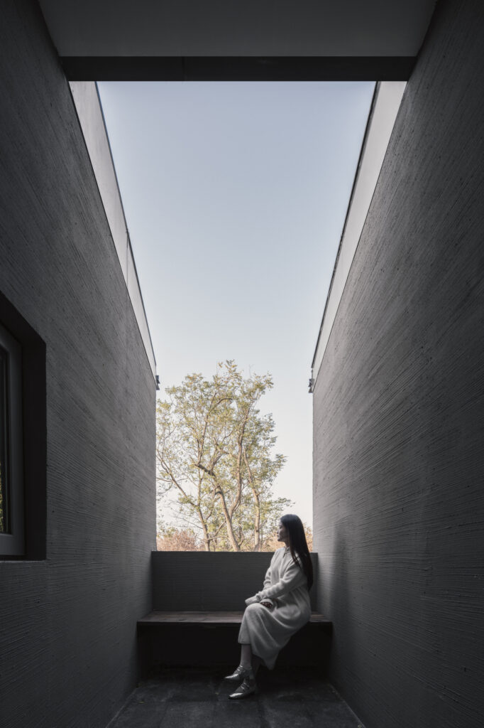 Heart fields / wutopia lab