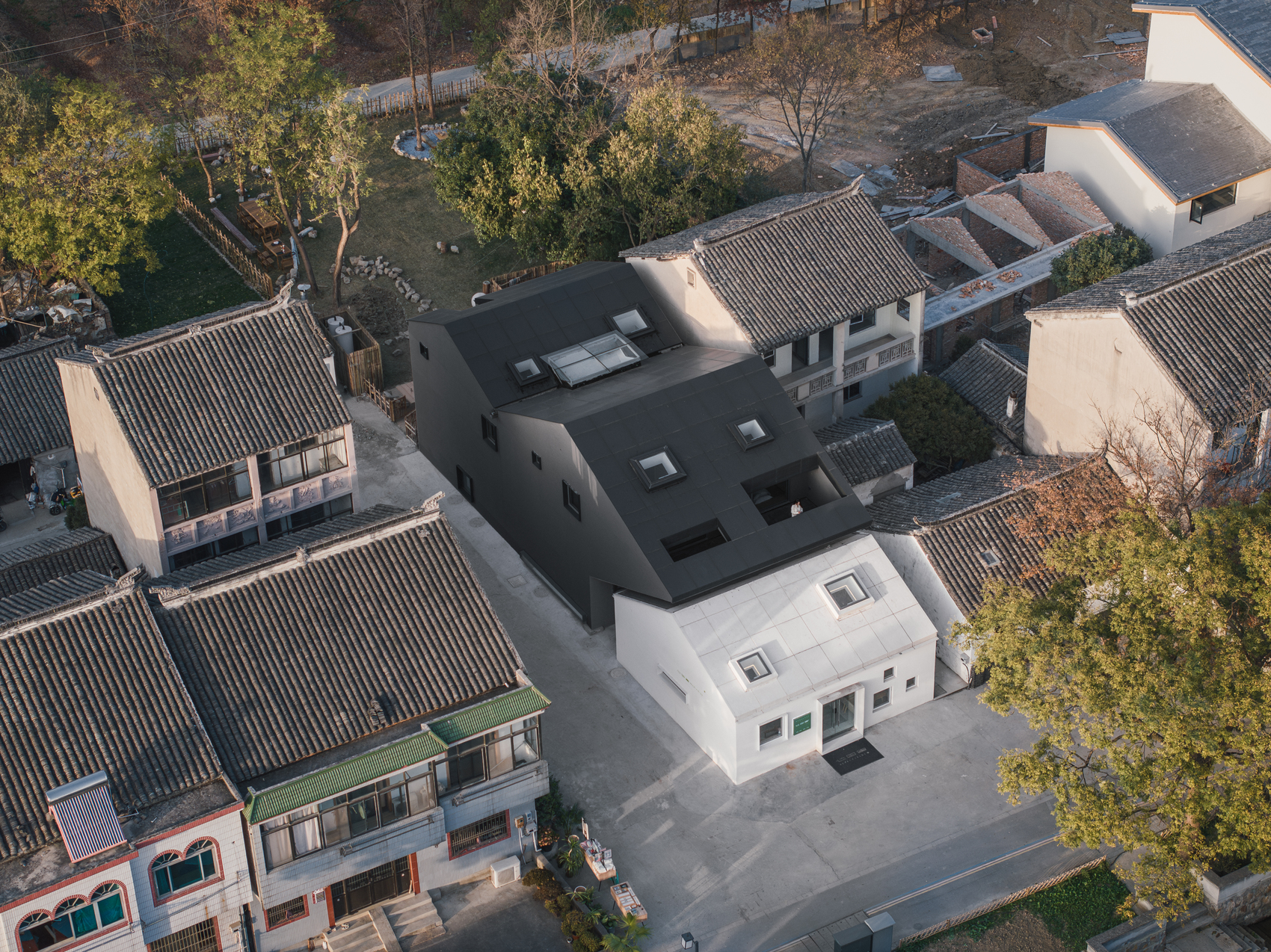Heart fields / wutopia lab