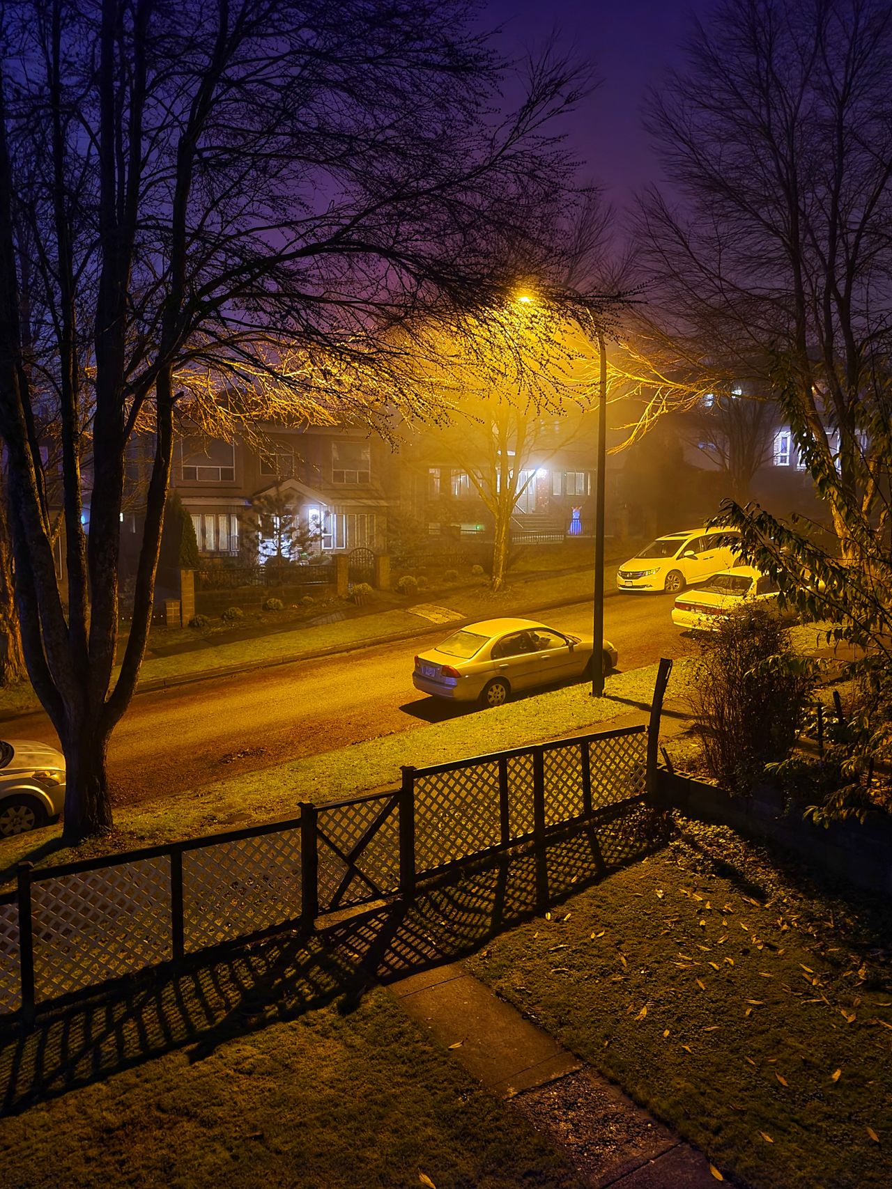 Suburban street at dusk with houses lit from within cars in driveways trees fences and everyday domestic life visible
