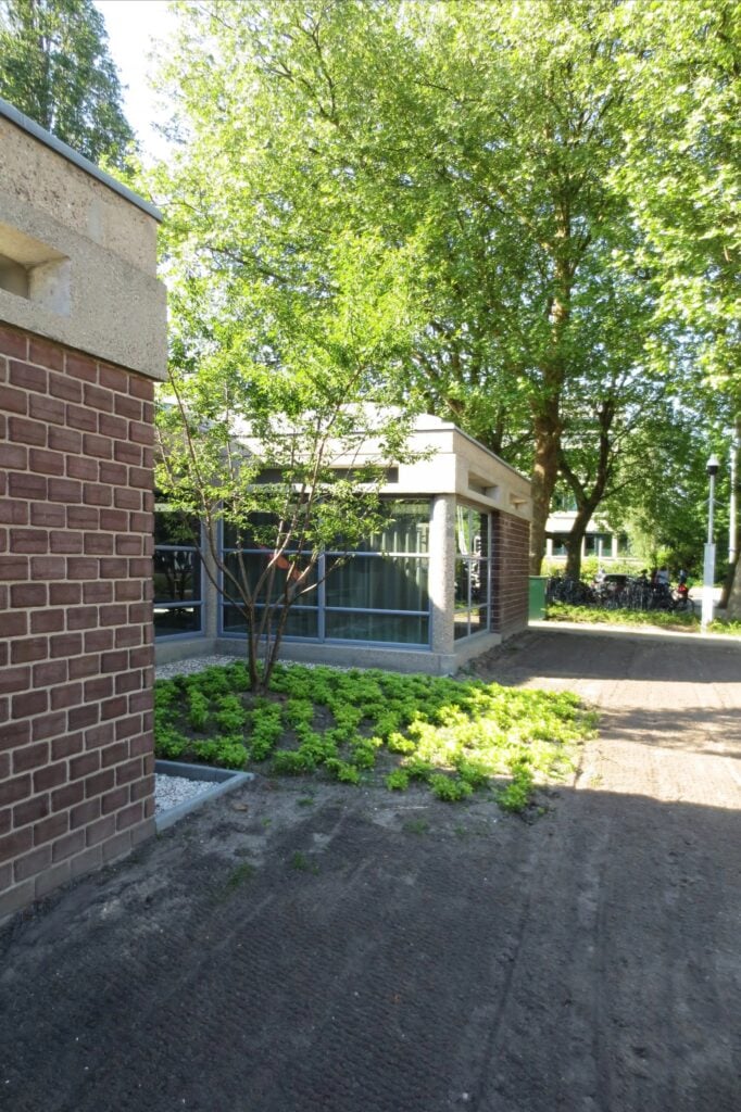 Amsterdam Orphanage / Aldo Van Eyck | Classics On Architecture Lab 68 Amsterdam orphanage / aldo van eyck | classics on architecture lab