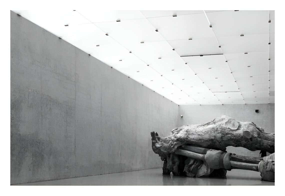Kunsthaus bregenz / peter zumthor | classics on architecture lab