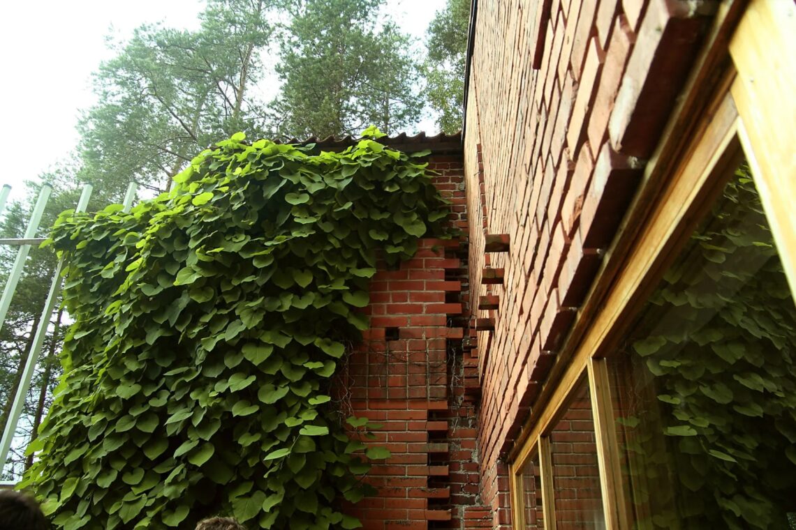 Muuratsalo experimental house / alvar aalto | classics on architecture lab