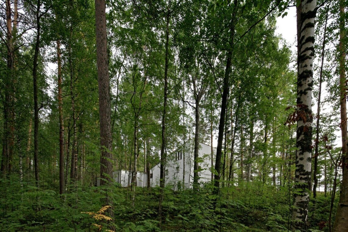 Muuratsalo experimental house / alvar aalto | classics on architecture lab