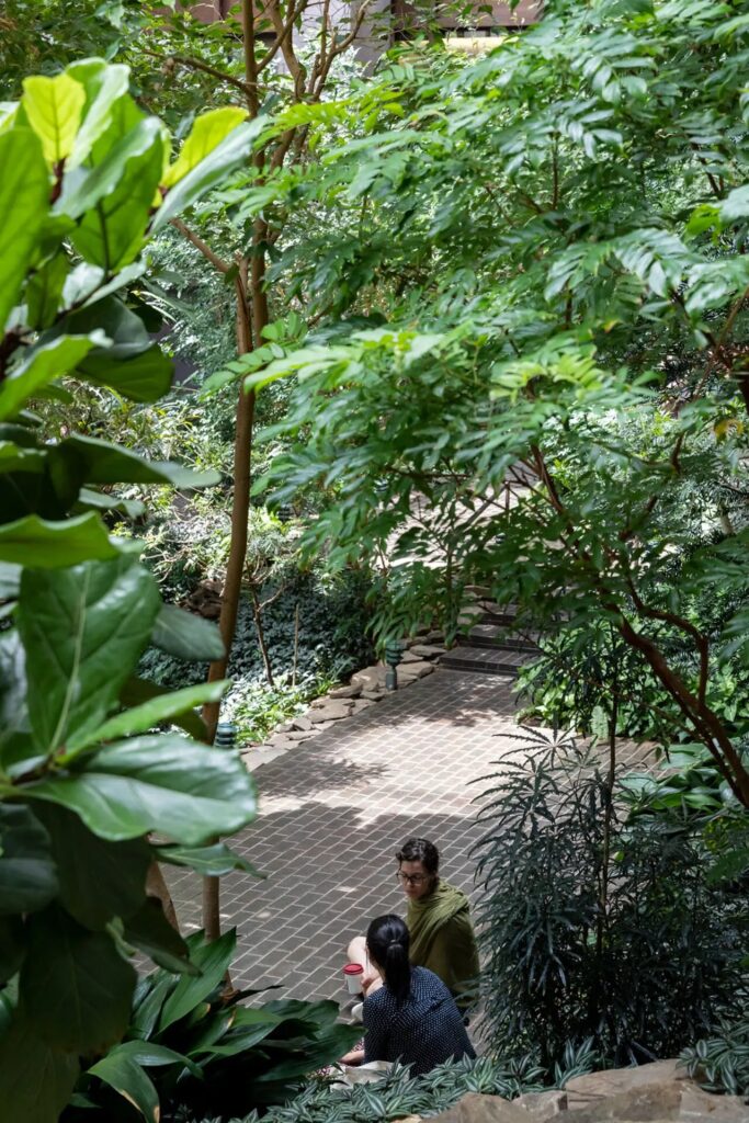 The Ford Foundation / Kevin Roche John Dinkeloo And Associates | Classics On Architecture Lab 53 The ford foundation / kevin roche john dinkeloo and associates | classics on architecture lab