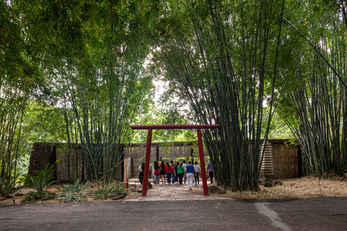 Tatiana Bilbao: Biography, Works, Awards 105 Tatianabilbao estudio jardin botanico culiacan onnis luque 09